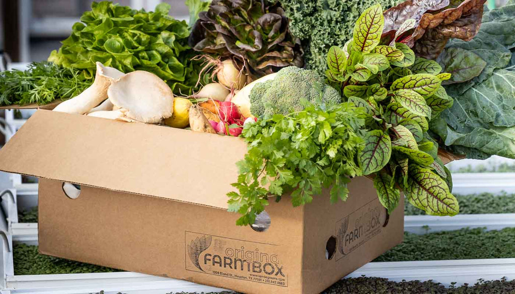 Why a Weekly Organic Vegetable Box Delivery is Perfect for Busy Families