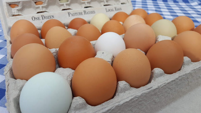 The Trouble with Factory Farmed Chicken Eggs